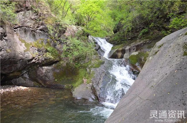 王家河厚民晋茶体验园——泗交架桑漂流——岚山根·运城印象